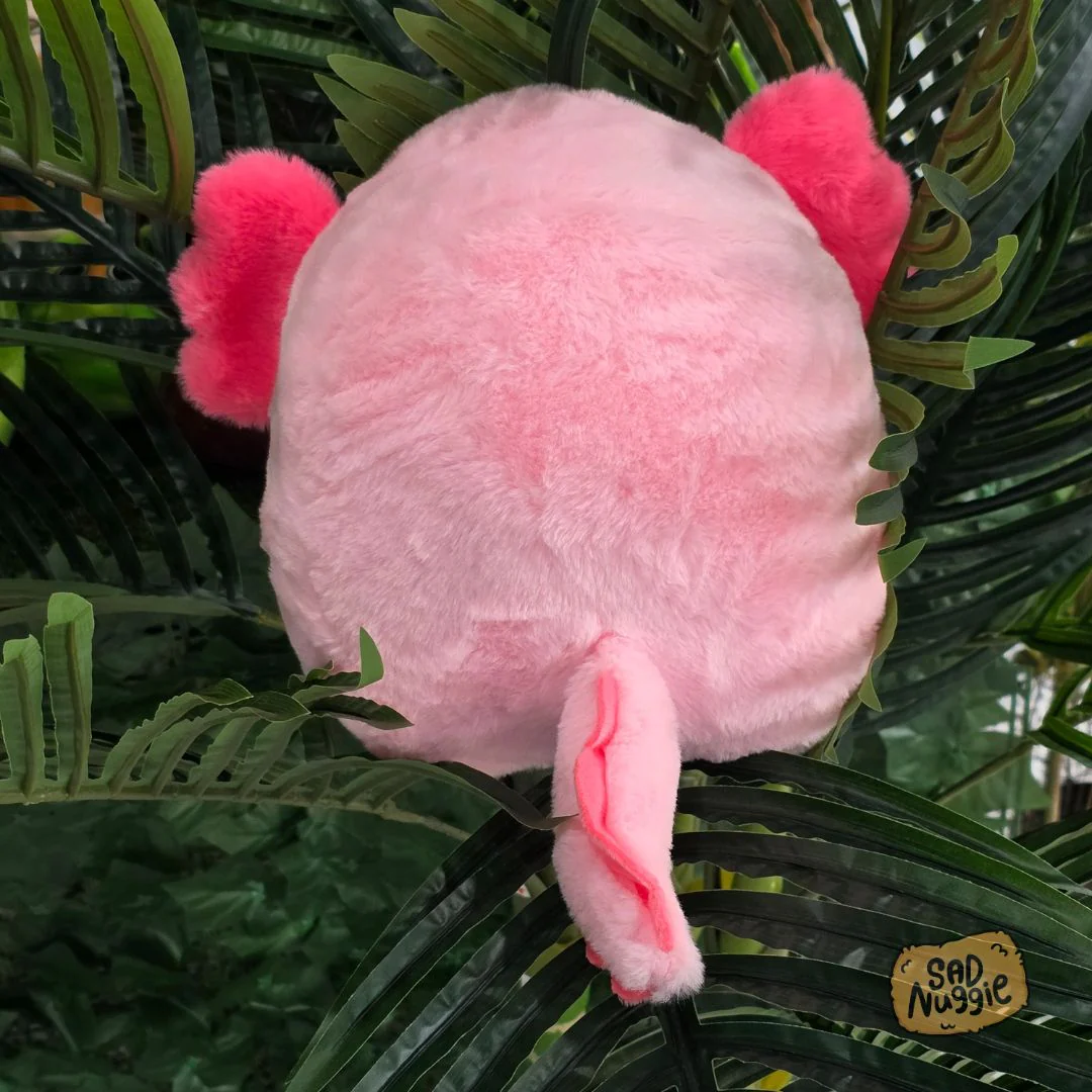 Axolotl Sad Nuggie Plush - Image 3